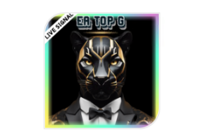 EA TOP G是一款基于趋势跟踪的多币种专家顾问