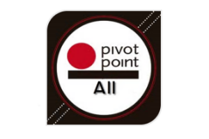 All Pivot Points  MT4指标