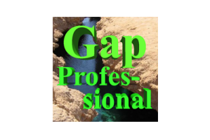 万倍缺口ea Gap Professional